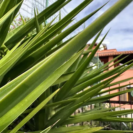 Casa Perlei Holiday home *