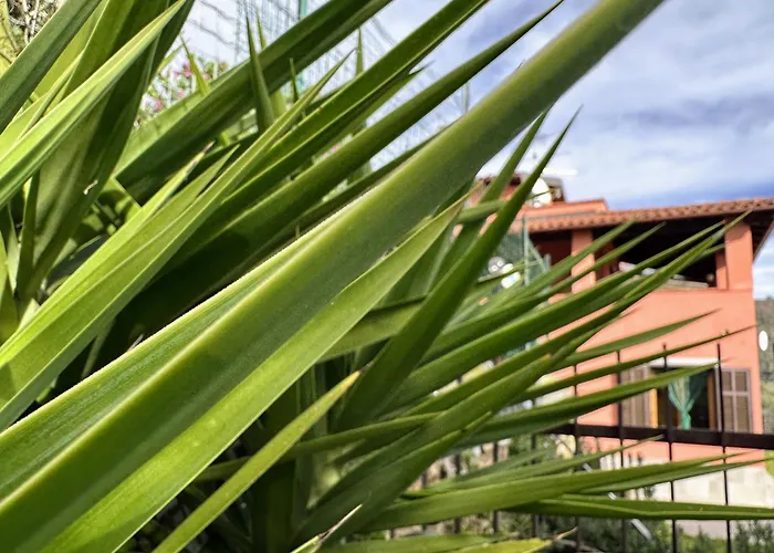 Casa Perlei Vakantiehuis *